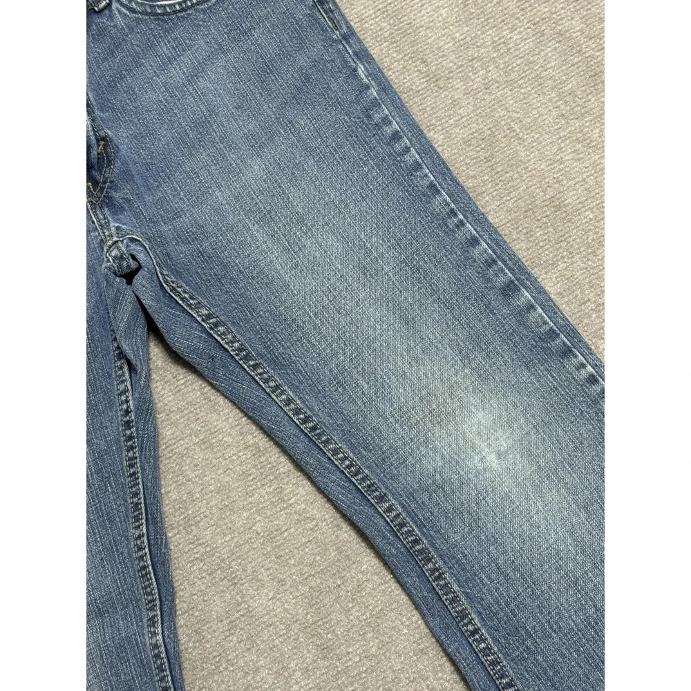 Levis levis 527